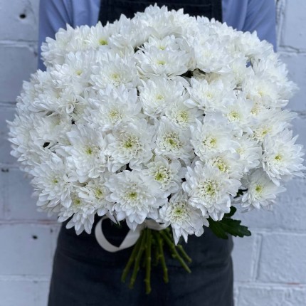 Белая кустовая хризантема - купить с доставкой в по Рошалю